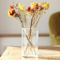 cylinder glass vase transparent simple flower glass vases